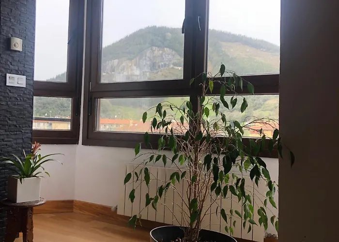 Duplex Markina Xemein *